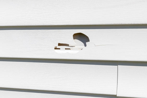 Best Hoarding Cleanup  in Mint Hill, NC